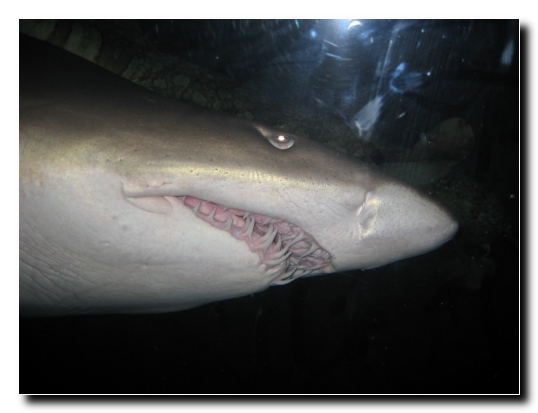 24 Nicht so freundlich